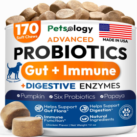 Probiotics for Dogs