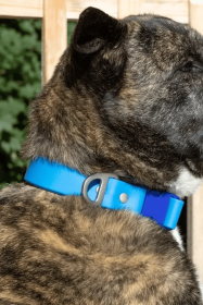 Dockside Adventures Waterproof Dog Collar (size: 15 - 17 inch)